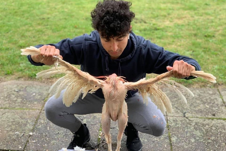 Fra Jord til Bord - det er blevet tid til at slagte kyllinger