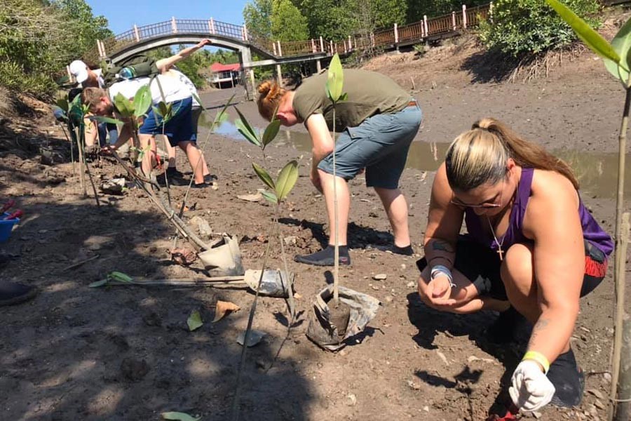 Vi planter mangrove træer for kystsikringen i Malaysia